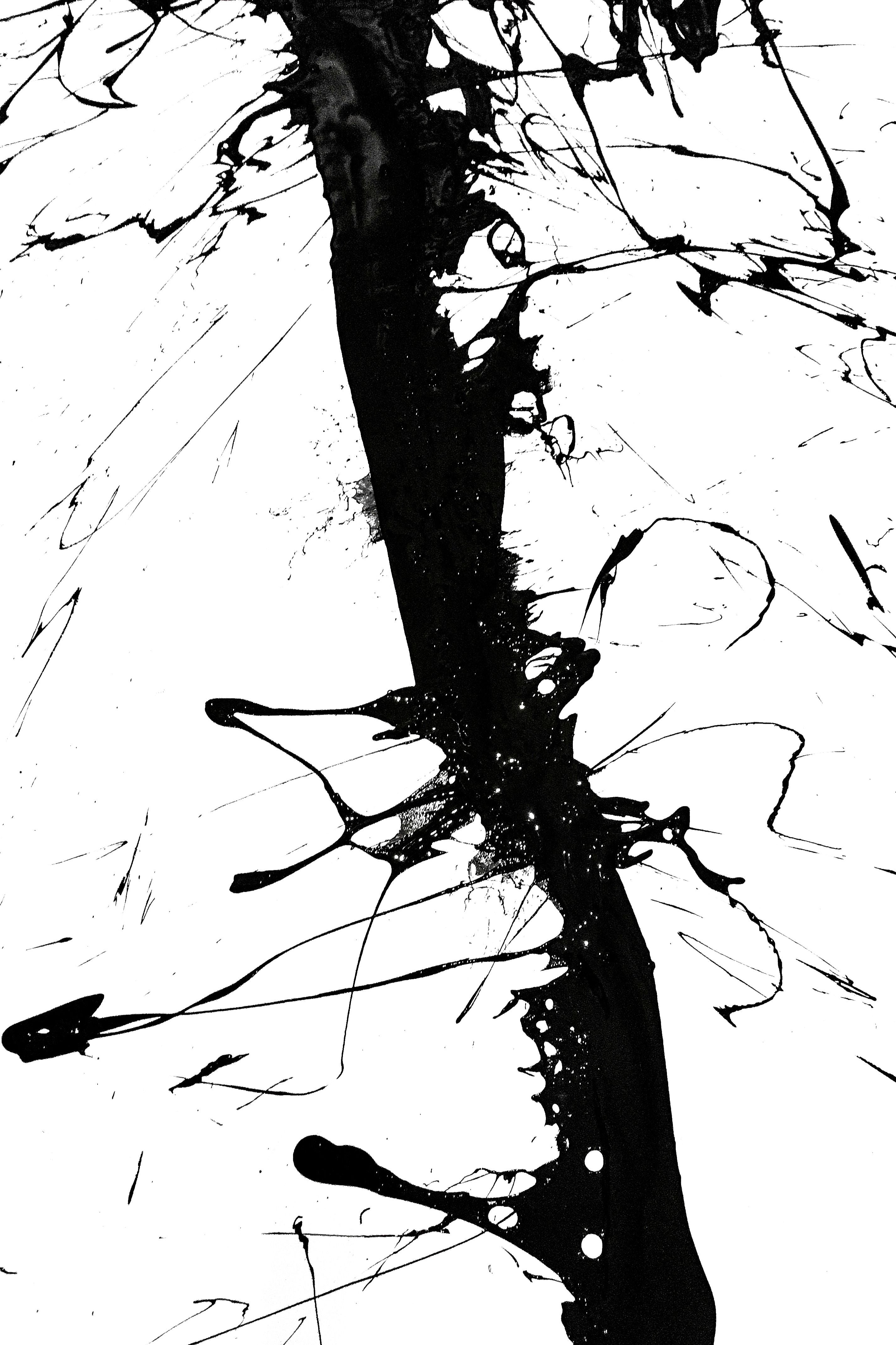Paint